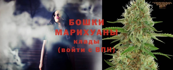 амф Гусиноозёрск