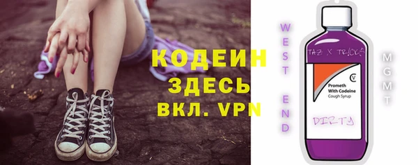 прущий лед Гусев