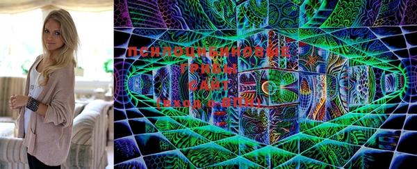 MDMA Premium VHQ Гусь-Хрустальный