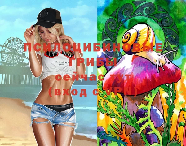 прущий лед Гусев