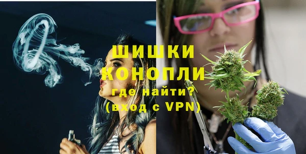 амф Гусиноозёрск