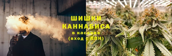 амф Гусиноозёрск
