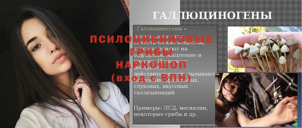 амф Гусиноозёрск